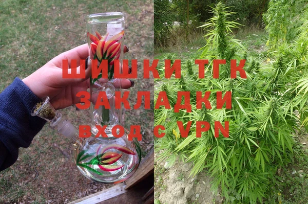 spice Пестово