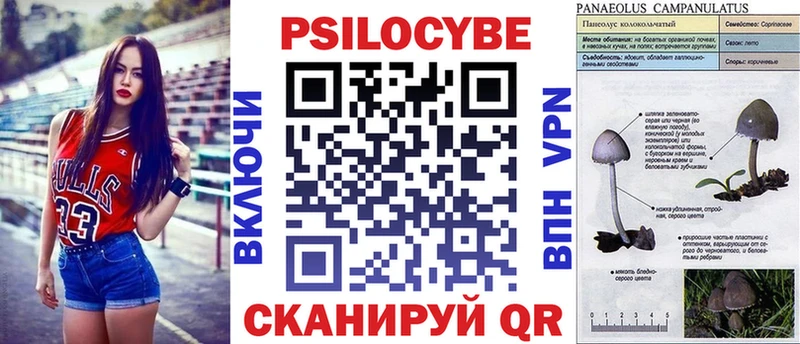 Псилоцибиновые грибы Cubensis  цены наркотик  Тбилисская 